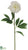 Peony Spray - White - Pack of 12