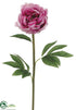 Silk Plants Direct Peony Spray - Fuchsia Cream - Pack of 12