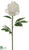 Peony Spray - White - Pack of 12