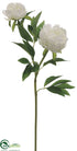 Silk Plants Direct Peony Spray - White - Pack of 12