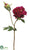 Peony Spray - Beauty - Pack of 12