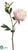 Peony Spray - Cream Cerise - Pack of 12