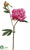 Peony Spray - Mauve - Pack of 12