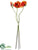 Poppy Bundle - Orange - Pack of 6