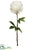 Peony Spray - White - Pack of 12