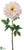 Peony Spray - Cream Pink - Pack of 12