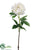 Peony Spray - White - Pack of 12