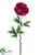 Peony Spray - Rubrum - Pack of 12