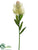 Protea Spray - Cream Green - Pack of 12