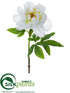 Silk Plants Direct Peony Spray - White - Pack of 12