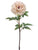 Peony Spray - Ivory - Pack of 24