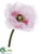 Poppy Spray - Fuchsia Cream - Pack of 12