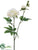 Silk Plants Direct Peony Spray - White - Pack of 12