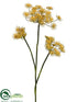 Silk Plants Direct Queen Anne's Lace Spray - Yellow - Pack of 12