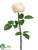 Rose Spray - Cream - Pack of 12