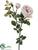 Rose Spray - Lavender Light - Pack of 12