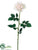 Rose Spray - Cream Pink - Pack of 12