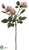 Rose Spray - Lavender - Pack of 12