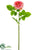 Rose Spray - Coral - Pack of 12