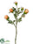 Rose Spray - Peach - Pack of 12