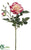 Rose Spray - Cerise Cream - Pack of 12