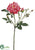 Rose Spray - Coral - Pack of 12