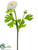 Silk Plants Direct Ranunculus Spray - Tea Berry - Pack of 12