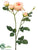 Rose Spray - Peach - Pack of 12