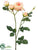 Rose Spray - Peach - Pack of 12