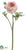 Ranunculus Spray - Pink Cream - Pack of 12