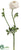 Ranunculus Spray - Cream - Pack of 12