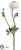 Ranunculus Spray - Cream - Pack of 12