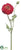 Ranunculus Spray - Red - Pack of 12