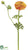 Ranunculus Spray - Yellow Gold - Pack of 12