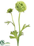 Silk Plants Direct Ranunculus Spray - Green - Pack of 12