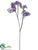 Statice Spray - Lavender - Pack of 12