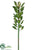 Giant Sedum Spray - Green - Pack of 4