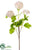 Silk Plants Direct Snowball Spray - Blush - Pack of 12