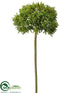 Silk Plants Direct Sedum Spray - Green - Pack of 6