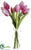 Tulip Bundle - Beauty Light - Pack of 12