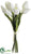 Tulip Bundle - White - Pack of 12