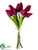 Tulip Bundle - Wine - Pack of 12