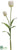 Tulip Spray - White - Pack of 12