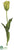 Tulip Spray - Green - Pack of 12