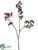 Thistle Spray - Burgundy - Pack of 12