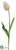 Parrot Tulip Bud Spray - Beige - Pack of 12