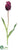 Parrot Tulip Bud Spray - Burgundy - Pack of 12