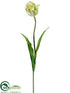 Silk Plants Direct Tulip Spray - Cream Green - Pack of 12