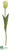 Tulip Spray - Green - Pack of 12