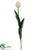 Tulip Spray - Cream - Pack of 12